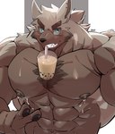 2023 abs anthro barazoku beverage biceps big_muscles biped blue_eyes bodily_fluids bubble_tea canid canine canis ear_piercing ear_stud fur grey_body grey_fur hands-free_bubble_tea hi_res huge_muscles lactating looking_at_viewer male male_lactation mammal meme muscular muscular_anthro muscular_male nt_kichi8642 pecs piercing solo standing wolf