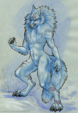 anthro black_pawpads blue_body blue_eyes blue_fur cheek_tuft claws ear_piercing facial_tuft fangs featureless_crotch finger_claws fingerpads front_view fur gauged_ear grey_claws male male_anthro nude outside pawpads piercing scar solo standing teeth text toe_claws torn_ear tuft heatherwolf canid canine canis mammal wolf full-length_portrait hi_res portrait url
