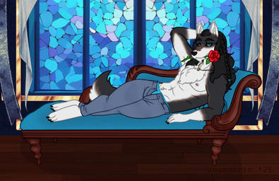 anthro black_body black_fur black_hair black_sclera blue_eyes bottomwear boxers_(clothing) brown_body brown_fur claws clothing fainting_couch flower fur furniture hair male pants paws plant rose_(flower) seductive sofa solo thorns underwear white_body white_fur window sourmagic aziraya canid canine canis mammal wolf
