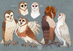 armor avian barn_owl battle_claws bird black_eyes brother_(lore) brother_and_sister_(lore) brown_body brown_feathers claws eglantine_(gogh) feathers female feral gradient_body group guardians_of_ga'hoole headgear helmet kabuki-aku kludd male metal_beak nyra_(gogh) owl sibling_(lore) simple_background sister_(lore) soren_(gogh) toe_claws tyto tytonid white_body white_feathers