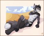 abs anthro clothed clothing collar fur male muscular muscular_anthro muscular_male nipples pecs solo swimwear topless gothwolf shimmortal canid canine fox mammal digital_media_(artwork)