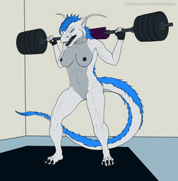 abs angry anthro barbell barbell_squats belly big_breasts bottomwear breasts claws clothing exercise fangs feet female flexing flexing_bicep flexing_both_biceps flexing_muscles genitals gloves gloves_only gym handwear handwear_only leg_muscles mostly_nude muscular nipples nude nude_workout open_mouth shorts snarling solo spread_legs spreading squats tail teeth thick_thighs tongue vulva weightlifting weights workout workout_equipment workout_gloves rebeldragon101 mythology christa_(rebeldragon101) dragon mythological_creature mythological_scalie scalie hi_res
