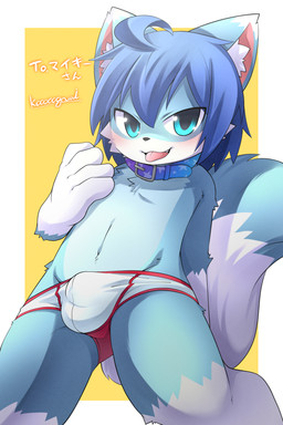 anthro backsack balls bedroom_eyes blue_body blue_fur blue_hair blush briefs bulge chibi clothed clothing collar fur genitals hair kemono low-angle_view male narrowed_eyes playful seductive solo teasing tongue tongue_out touching_chest underwear underwear_only young young_anthro young_male ko-gami kooooogami mikey_(mikey_fox) canid canine fox mammal 2:3 absurd_res hi_res