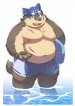 anthro belly bulge clothing male moobs navel nipples overweight overweight_anthro overweight_male simple_background solo swimwear water ayame42612 lifewonders tokyo_afterschool_summoners moritaka_(tas) canid canine canis domestic_dog mammal 2019