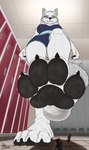4_toes anthro bodily_fluids breasts claws clothed clothing extreme_size_difference feet female female/female foot_fetish foot_focus foot_play group locker_room low-angle_view micro pawpads paws size_difference soles sweat sweaty_feet toe_claws toes trampling trio underfoot wrinkled_feet wrinkles 1-bobu canid human mammal absurd_res hi_res