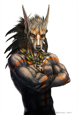 anthro athletic athletic_anthro athletic_male biceps black_nose brown_eyes clothing copyright_symbol crossed_arms ear_piercing ear_ring feather_ornament feathered_crest feathers fur gloves gold_(metal) gold_ear_ring grey_body grey_fur grey_hair hair handwear head_crest jewelry leather leather_clothing leather_gloves leather_handwear male markings necklace ornament piercing ring_piercing silhouetted_body simple_background solo standing symbol text white_background year nukerooster rakceyen canid canine mammal 2015 artist_name half-length_portrait portrait watermark