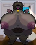 animal_genitalia anthro balls belly big_balls big_breasts big_nipples black_body black_fur black_hair blep breasts collar floppy_ears front_view fur genitals gynomorph hair hair_over_eyes huge_breasts hyper hyper_breasts intersex nipples obese overweight paws sheath solo tail tongue tongue_out dominogooper rosa_(dominogooper) canid canine canis domestic_dog mammal absurd_res hi_res trans_(lore) trans_woman_(lore)