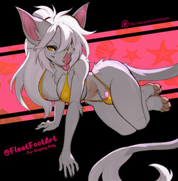 4_toes 5_fingers anthro areola bikini bikini_bottom bikini_top biped breasts bulge claws clothed clothed_anthro clothed_gynomorph clothed_intersex clothing feet finger_claws fingers front_view fur genitals grey_body grey_fur grey_tail gynomorph hair intersex looking_at_viewer navel penis smile solo swimwear tail toe_claws toes tongue tongue_out two-piece_swimsuit white_hair yellow_eyes fleet-foot verelle bat mammal 2025 digital_drawing_(artwork) digital_media_(artwork) hi_res