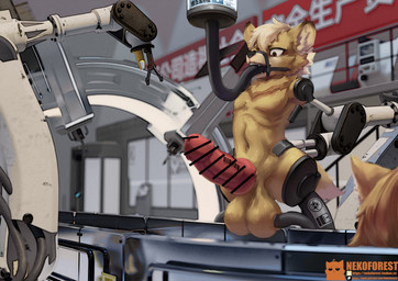 4_missing_limbs amputee balls big_balls censor_bar disability duo genitals knot knotted_penis male penis quadruple_amputee solo nekoforest absurd_res censored hi_res
