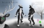 anthro antlers balls butt erection fluffy fur genitals hair hooves horn male nude penis simple_background solo text tribal black-buck_(artist) black-buck_(character) deer mammal digital_media_(artwork) english_text model_sheet