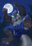 anthro armpit_hair biceps body_hair bottomwear bulge chest_tuft clothing fur happy_trail male musclegut muscular nipples pants pawpads paws pubes solo tail torn_clothing tuft suck-nis mythology bruno_(rossciaco) canid canine mammal mythological_canine mythological_creature werecanid werecanine werecreature werewolf better_version_at_source hi_res