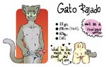 ambiguous_gender anthro anus backsack balls butt duo erection genitals glans humanoid_genitalia humanoid_penis inner_ear_fluff male male/ambiguous penis shota smile solo tail text tuft young young_anthro greenfr00g gato_rajado_(greenfr00g) rafaello_bunn domestic_cat felid feline felis lagomorph leporid mammal rabbit english_text hi_res model_sheet multiple_images