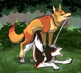all_fours blush bodily_fluids breath butt claws cum cum_inside doggystyle duo female feral floppy_ears fluffy fluffy_tail from_behind_position fur genital_fluids leash leash_pull lop_ears male male/female male_penetrating open_mouth orgasm panting penetration pointy_ears prick_ears quadruped sex simple_background submissive sweat tail tongue tongue_out conditional_dnp heliofox coyotl_(luftraptor) izzy_(luftraptor) bird_dog canid canine canis cocker_spaniel coyote domestic_dog hunting_dog mammal spaniel digital_media_(artwork) hi_res