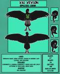 beak biped black_body black_feathers braided_hair clothed clothing feathered_wings feathers female hair solo wings likeshine xai_xevion avian bird corvid corvus_(genus) crow oscine passerine hi_res model_sheet