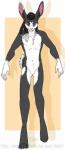 4_toes anthro barefoot biped black_hair dreadlocks featureless_crotch feet front_view fur grey_body grey_fur hair humanoid_hands inner_ear_fluff long_ears looking_at_viewer male multicolored_hair navel smile solo standing toes tuft white_body white_fur white_hair dtalvi yuki_takasaki_(yukibunbun) lagomorph leporid mammal rabbit hi_res