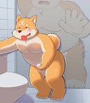 4_toes ahegao anthro bathroom bent_legs blush bodily_fluids duo eyebrows fangs feet fur half-closed_eyes looking_pleasured male male/male markings masturbation moon_(marking) narrowed_eyes open_mouth orange_body orange_fur overweight overweight_male penetration public public_restroom public_sex public_use raised_tail restroom_stall sex shaking size_difference slightly_chubby slightly_chubby_male smaller_penetrated sweat tail teeth toes toilet tongue trembling aciag yueshi_(sinei1234) canid canine canis domestic_dog mammal 2023 hi_res father_(lore) father_and_child_(lore) father_and_son_(lore) incest_(lore) parent_(lore) parent_and_child_(lore) parent_and_son_(lore) son_(lore)