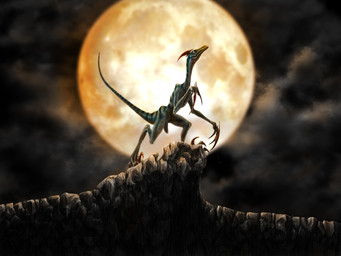 ambiguous_gender backlighting biped bipedal_feral black_clouds bone_frill claws cliff cloud digitigrade feral frill_(anatomy) full_moon light long_claws looking_up misleading_thumbnail moon night ominous outside rock scales scenery sickle_claw silhouette sky solo striped_body striped_scales stripes tail thin_tail toe_claws deino_(artist) capcom monster_hunter bird_wyvern scalie velociprey 2008 4:3 dark_theme digital_drawing_(artwork) digital_media_(artwork) full-length_portrait lighting portrait