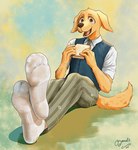 anthro blue_background bottomwear clothing dirty dirty_clothing dirty_socks feet foot_focus footwear fur green_background happy male open_mouth pants shirt simple_background sitting smile socks solo topwear yellow_background yellow_body yellow_fur ozomatli beastars jack_(beastars) bird_dog canid canine canis domestic_dog golden_retriever hunting_dog mammal retriever 2025 dated hi_res signature