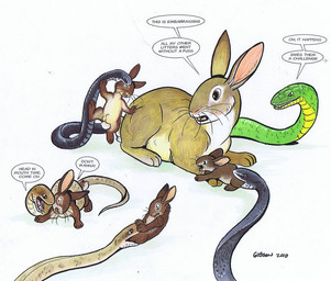animal_genitalia bad_parenting balls black_body black_scales brown_body brown_fur dialogue feral feral_pred feral_prey forced fur genitals green_body green_scales group larger_pred male male/male multiple_prey open_mouth oral_vore scales sheath simple_background size_difference speech_bubble tail talking_to_pred talking_to_prey text unwilling_prey vore white_body white_fur willing_pred young young_pred young_prey roz_gibson lagomorph leporid mammal rabbit reptile scalie snake 2010 colored dated english_text signature