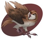 ambiguous_gender black_eyes brown_body brown_feathers feathers feet feral open_mouth simple_background solo talons toes white_background white_body white_feathers ignigeno guardians_of_ga'hoole kludd 2015 male_(lore)