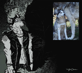 anthro black_nose bracelet claws clothing duo finger_claws fluffy fluffy_tail fur grey_body grey_fur jacket jewelry kemono leaning leaning_forward male male/male necklace pointy_ears size_difference tail topwear white_body white_fur mucknagabe husky_and_wolf_meme canid canine canis domestic_dog husky mammal nordic_sled_dog spitz wolf monochrome picture_in_picture reference_image signature