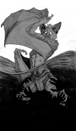 abs ambiguous_gender anthro bat_wings bottomwear bulge clothed clothing detailed_bulge disembodied_hand erection erection_under_clothing fur genital_outline ghost_hand grope group leg_grab looking_down male male/ambiguous membrane_(anatomy) membranous_wings muscular muscular_anthro muscular_male outside partially_clothed penis_outline public simple_background solo solo_focus topless topless_anthro topless_male underwear water wings momamo bat mammal absurd_res hi_res monochrome