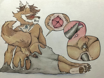 anal anal_penetration anthro balls brown_body brown_fur chastity_cage chastity_device claws fur genitals hair humanoid_genitalia internal male nude pawpads paws penetration penis pubes slim solo tail toe_claws bug_eater guardians_of_the_galaxy marvel marvel_rivals rocket_raccoon venom_(marvel) mammal procyonid raccoon hi_res traditional_media_(artwork)