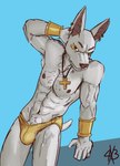 abs ankh anthro blue_eyes bulge clothed clothing ear_piercing ear_ring fur gold_(metal) gold_jewelry jewelry male muscular muscular_male necklace nipples piercing pubes ring_piercing short_tail simple_background solo tail white_body white_fur fourbythree wepwawet canid canine canis jackal mammal guide_lines portrait three-quarter_portrait