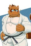 anthro belly blue_eyes blush bottomwear brown_body bulge clothing keikogi kemono male martial_arts_uniform moobs musclegut muscular navel overweight overweight_male pants solo sportswear rockmai3 sengoku_puzzle shadow_ieyasu canid canine mammal raccoon_dog tanuki 2025 absurd_res hi_res