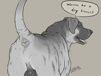 anus balls butt darkened_balls darkened_genitalia dialogue feral genitals looking_at_viewer male male_feral perineum presenting presenting_anus presenting_hindquarters quadruped raised_tail rear_view semi-realistic semi-realistic_feral solo tail text sketchy_shelby canid canine canis domestic_dog mammal 4:3 english_text hi_res