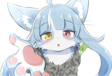 5_fingers anthro blue_body blue_fur blue_hair blush camo camo_clothing camo_print chest_tuft chestnut_mouth clothing femboy fingers fluffy fur hair heterochromia kemono long_hair looking_at_viewer male male_anthro pattern_clothing pawpads red_eyes simple_background solo tuft whiskers white_background white_body white_fur yellow_eyes newbear japan_air_self-defense_force omaneko_(jasdf) domestic_cat felid feline felis mammal 2026 digital_media_(artwork) hi_res