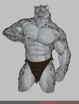 abs anthro barazoku barely_visible_nipples blue_eyes bottomwear chest_grab clothed clothing fur grey_background grey_body grey_fur grey_spots hand_on_chest hand_on_pecs loincloth loincloth_only looking_forward male markings mostly_nude muscular muscular_anthro muscular_male navel nipples pec_grab pecs pink_nose simple_background solo spots spotted_body spotted_fur standing topless whisker_spots white_body white_fur cherry_blossom_kid felid mammal pantherine snow_leopard 2022 hi_res