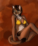 2013 abstract_background animal_ears bikini breasts brown_fur brown_hair cat cat_ears catgirl cleavage clothed clothing feline female fur hair looking_at_viewer mammal multi-colored_body multi-colored_fur pink_nose plain_background red_background shazzi short_hair sitting skimpy smile solo swimsuit tan_fur tight_clothing two_tone_fur white_fur yellow_bikini yellow_eyes
Rating: Safe
Score: 35
User: WinterWolf
Date: February 09, 2013