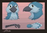 ambiguous_gender anthro beak claws feathers front_view looking_at_viewer male rear_view simple_background smile solo standing tail ponza00 ponza avian bird blue_jay corvid jay_(bird) new_world_jay oscine passerine absurd_res full-length_portrait headshot_portrait hi_res model_sheet portrait