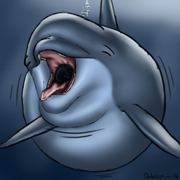 almost_fully_inside ambiguous_gender ambiguous_pred ambiguous_prey belly big_belly bubble duo eyes_closed feral feral_pred feral_prey flukes gaping_mouth head_first huge_belly larger_ambiguous larger_pred mouth_shot open_mouth oral_vore size_difference smaller_ambiguous soft_vore underwater vore water year dolorcin aquatic bottlenose_dolphin cetacean dolphin mammal oceanic_dolphin toothed_whale 1:1 2016 dated hi_res signature