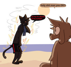 anthro beach black_body black_fur black_hair brown_body brown_fur brown_hair burning clothing dialogue duo fire fur hair male monotone_body onomatopoeia sea seaside sound_effects speech_bubble sun swimming_trunks swimwear text towel towel_on_shoulder water white_eyes yellow_eyes softfuzzymike mikey_(softfuzzymike) canid canine canis domestic_cat domestic_dog felid feline felis mammal absurd_res english_text hi_res