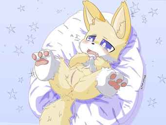 andromorph anthro anus blush female fur genitals intersex lying multicolored_body multicolored_fur nude on_back pattern_background pillow purple_eyes simple_background solo spread_legs spreading star two_tone_body two_tone_fur vulva white_body white_fur yellow_body yellow_fur nachitamajr fan_character canid canine fox mammal 4:3 hi_res