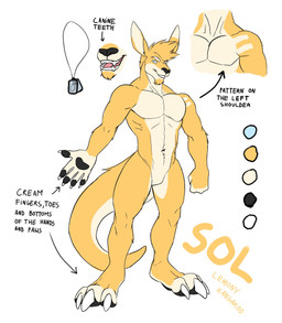 anthro blue_eyes fangs featureless_crotch front_view fur grin hair jewelry looking_at_viewer male muscular muscular_anthro muscular_male navel necklace nude open_mouth pecs short_hair smile solo standing teeth text white_body white_fur yellow_body yellow_fur solaxe_(artist) solaxe kangaroo macropod mammal marsupial absurd_res english_text hi_res model_sheet