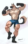 abs anthro black_body black_fur black_seam_underwear blue_bottomwear blue_clothing blue_underwear bottomwear boxers_(clothing) clothed clothing colored_seam_underwear countershading fist flexing flexing_bicep front_view fur genital_outline kemono looking_at_viewer male muscular muscular_male navel on_one_leg pantsless pose solo standing tan_body tan_fur topless underwear white_body white_countershading wrist_accessory kuromonsart canid canine canis domestic_dog german_shepherd herding_dog mammal pastoral_dog 2023 full-length_portrait hi_res portrait