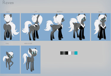 blue_eyes bomber_jacket female feral grey_body hair hair_bun hooves long_hair solo tail white_hair wings villegreen hasbro my_little_pony mythology equid equine horse mammal mythological_creature mythological_equine pegasus pony absurd_res hi_res model_sheet tagme
