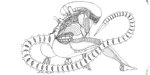 ambiguous_gender blade butt crouching exoskeleton inner_mouth long_tail open_mouth rear_view solo tail tail_blade teeth weapon_tail funkyboy alien_(franchise) disney alien xenomorph 2016 digital_media_(artwork) line_art signature sketch