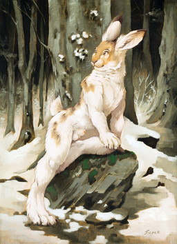 4_toes 5_fingers :3 animal_genitalia animal_penis anthro arm_support balls brown_claws brown_eyes casual_nudity claws detailed_background dipstick_ears ear_markings feet fingers forest fur genitals hand_on_knee hand_on_leg inner_ear_fluff leaning leaning_forward looking_back male markings moss multicolored_ears nude on_rock outdoor_nudity outside paws penis penis_tip plant pose rock sheath shedding side_view slim snow solo tan_body tan_fur toes tree tuft whiskers white_body white_fur winter scale_(artist) hare lagomorph leporid mammal mountain_hare rabbit full-length_portrait oil_painting_(artwork) painting_(artwork) portrait traditional_media_(artwork) traditional_painting_(artwork)