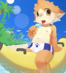 anthro banana_pool_toy beach bent_arm biped bulge clothed clothing countershading detailed_background detailed_bulge extended_arm food food_pool_toy front_view fruit_pool_toy genital_outline inflatable inflatable_ride inflatable_support kemono landscape leaning leaning_backward looking_at_viewer male navel nipples on_pool_toy open_mouth outside partially_submerged penis_outline pool_toy popsicle sand seaside shota sitting sitting_on_pool_toy sky solo speedo straddling swimwear tongue tongue_out topless water young young_anthro moki_(artist) canid canine canis domestic_dog mammal