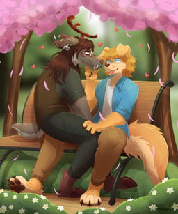 anniversary anthro bench cherry_blossom cherry_tree clothed clothing cuddling duo ear_piercing ear_ring eyewear flower fruit_tree fur glasses hair heart_symbol larger_male love male male/male on_lap open_mouth outside park park_bench piercing plant prunus_(flower) ring_piercing sitting sitting_on_lap size_difference tail tongue tongue_out topwear tree darkolynx canid canine canis deer domestic_dog mammal digital_media_(artwork) hi_res