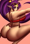 big_breasts big_butt breasts butt cleavage cleavage_overflow clothed clothing crown ear_piercing ear_ring eyelashes eyewear eyewear_on_head female hair headgear huge_breasts huge_butt humanoid_pointy_ears kneeling long_hair piercing pink_background pointy_ears ponytail purple_eyes purple_hair rear_view red_clothing red_swimwear ring_piercing simple_background solo sunglasses sunglasses_on_head swimwear tan_body tan_skin thick_thighs tiara wide_hips nyarlarsche shantae_(series) wayforward shantae genie humanoid absurd_res hi_res