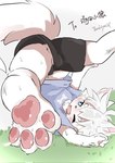 anthro anus balls barely_visible_balls barely_visible_genitalia blue_eyes blush bruised bruised_foot bruised_leg butt clothed clothing feet foot_focus fur genitals grass hair inner_ear_fluff male one_eye_closed open_mouth pawpads plant solo spread_legs spreading tuft wardrobe_malfunction white_body white_fur white_hair young young_anthro young_male colawolf7 coke_(colawolf7) canid canine canis mammal wolf hi_res signature