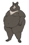 anthro belly male moobs nipples nude obese obese_anthro overweight overweight_anthro overweight_male simple_background smile solo white_background yasano bear black_bear mammal moon_bear ursine 2020