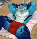 abs anthro beach beach_towel bulge clothing eyewear genital_outline hand_behind_head horn male markings muscular navel nipples presenting sea smug solo sunglasses towel underwear water panpy_draws mythology gaku amphibian dragon frog hybrid mythological_creature mythological_scalie scalie hi_res