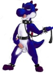 anthro bdsm biped blue_body bondage bound clothing collar erection footwear genitals leash male masturbation penile penile_masturbation penis pose shoes solo spikes submissive submissive_male tail tongue toony amadeusvirus mario_bros nintendo blue_yoshi dinosaur prehistoric_species reptile scalie yoshi