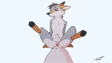 3_toes animal_genitalia anthro anus balls bedroom_eyes bent_legs big_tail biped black_claws black_eyebrows black_nose black_pawpads black_text blush blush_lines blushing_at_viewer brown_body brown_feet brown_fur brown_hands brown_markings butt cheek_tuft claws closed_smile countershade_balls countershade_butt countershade_crotch countershade_face countershade_fur countershade_genitalia countershade_legs countershade_neck countershade_sheath countershade_snout countershade_thighs countershade_torso countershading cute_fangs dipstick_ears ear_markings eye_markings eyebrows eyelashes facial_markings facial_tuft fangs feet finger_claws fingers fluffy fluffy_tail front_view fully_sheathed fur genitals gloves_(marking) grey_body grey_ear_tips grey_eyes grey_fur grey_hair grey_markings hair half-closed_eyes head_markings hindpaw iris leaning leaning_backward leg_markings legs_up looking_at_viewer male male_anthro markings monotone_background monotone_hair monotone_tail mouth_closed multicolored_body multicolored_ears multicolored_fur narrowed_eyes nude nude_anthro nude_male on_ground one_eye_obstructed one_fang pawpads paws perineum pink_anus pink_blush presenting presenting_anus presenting_hindquarters pupils seductive sheath short_hair simple_background sitting slim slim_anthro slim_male smile smiling_at_viewer snaggle_tooth snout snout_markings socks_(marking) solo spread_legs spreading tail teeth text thick_tail toes tuft whisker_spots white_background white_balls white_body white_countershading white_fur white_inner_ear white_perineum white_sclera white_sheath white_tail white_tuft yellow_body yellow_ears yellow_fur yellow_markings trevart canid canine canis mammal wolf 16:9 2021 artist_name full-length_portrait hi_res portrait signature widescreen